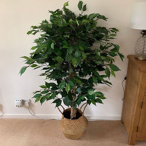 Artificial Ficus Tree